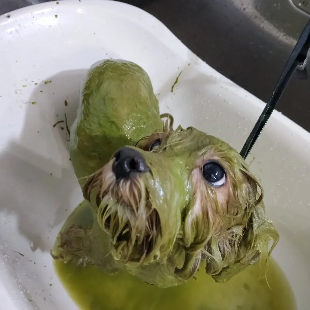 ハーブパック🌿