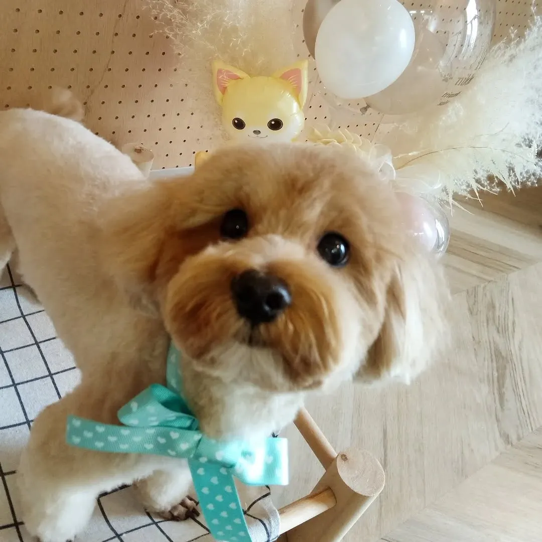 ハーブパック🌿