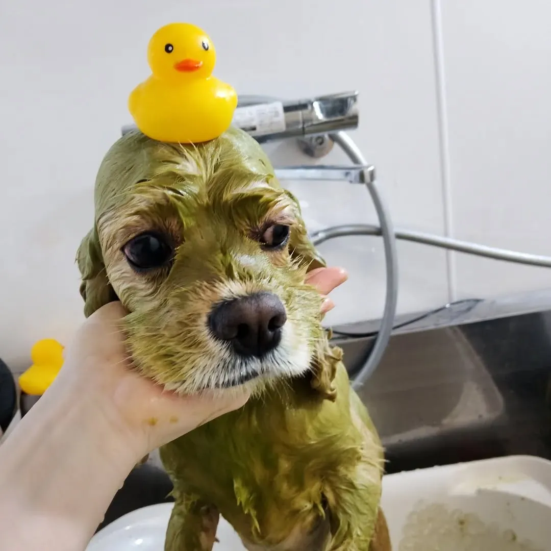 ハーブパック🌿