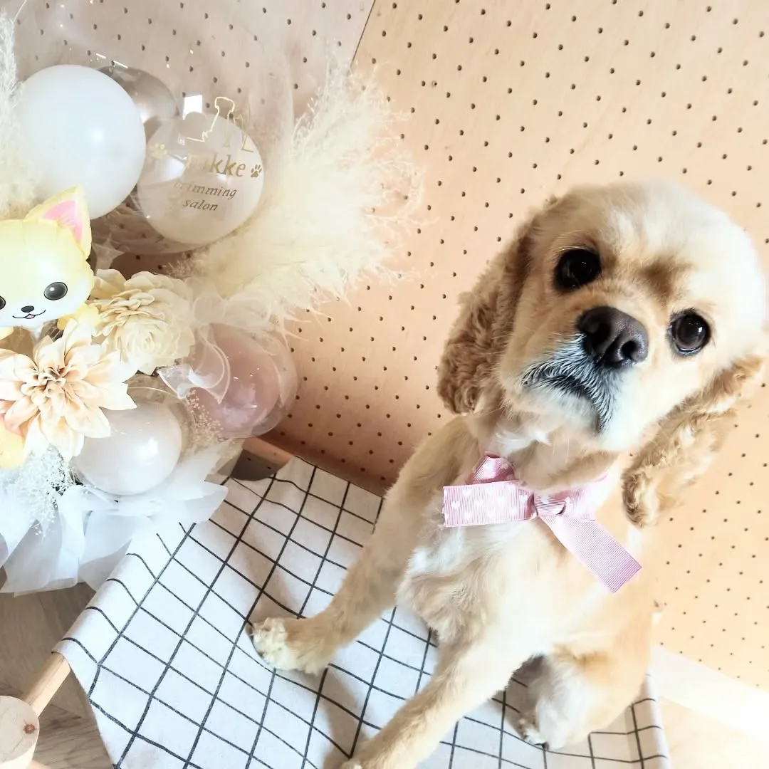 ハーブパック🌿