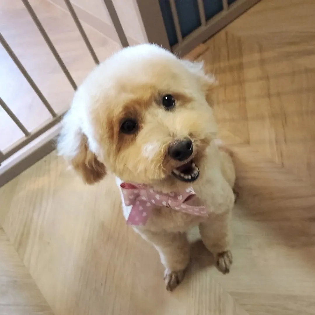 ハーブパック🌿