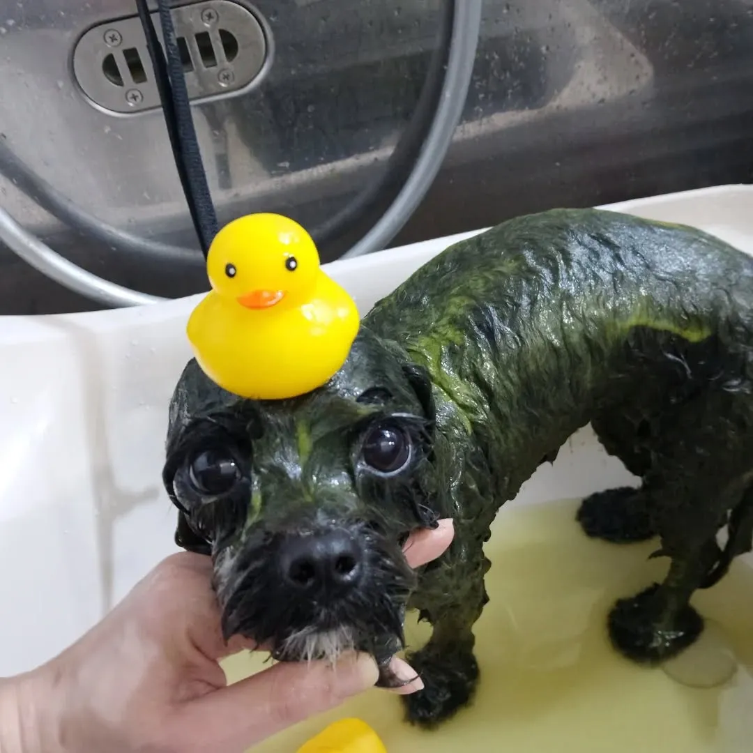 ハーブパック🌿