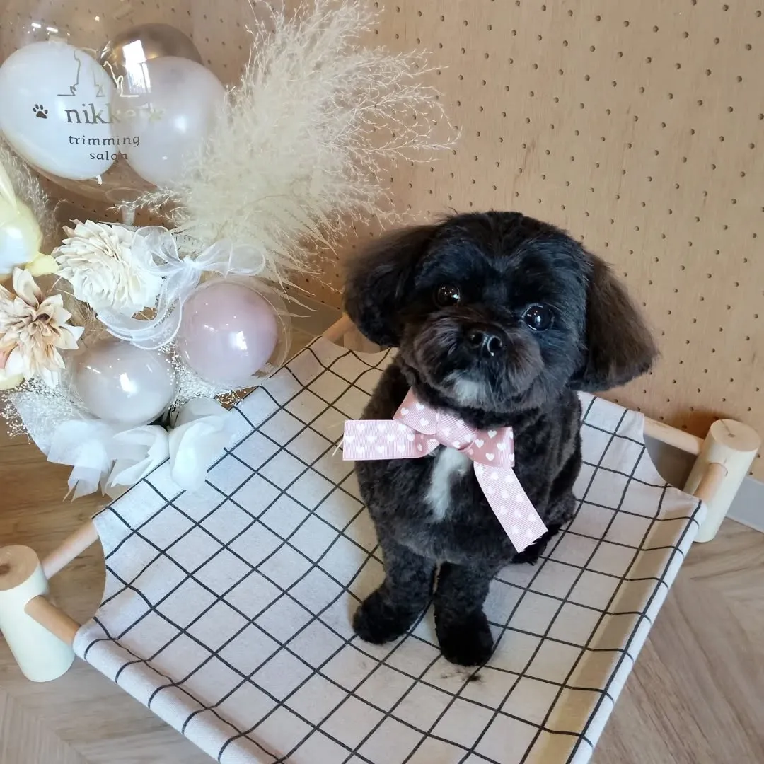 ハーブパック🌿