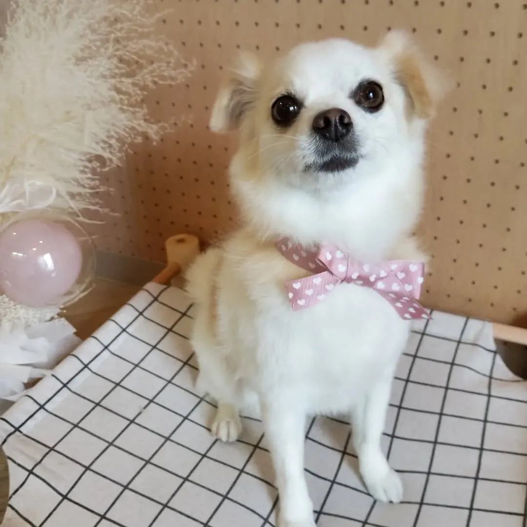 ハーブパック🌿