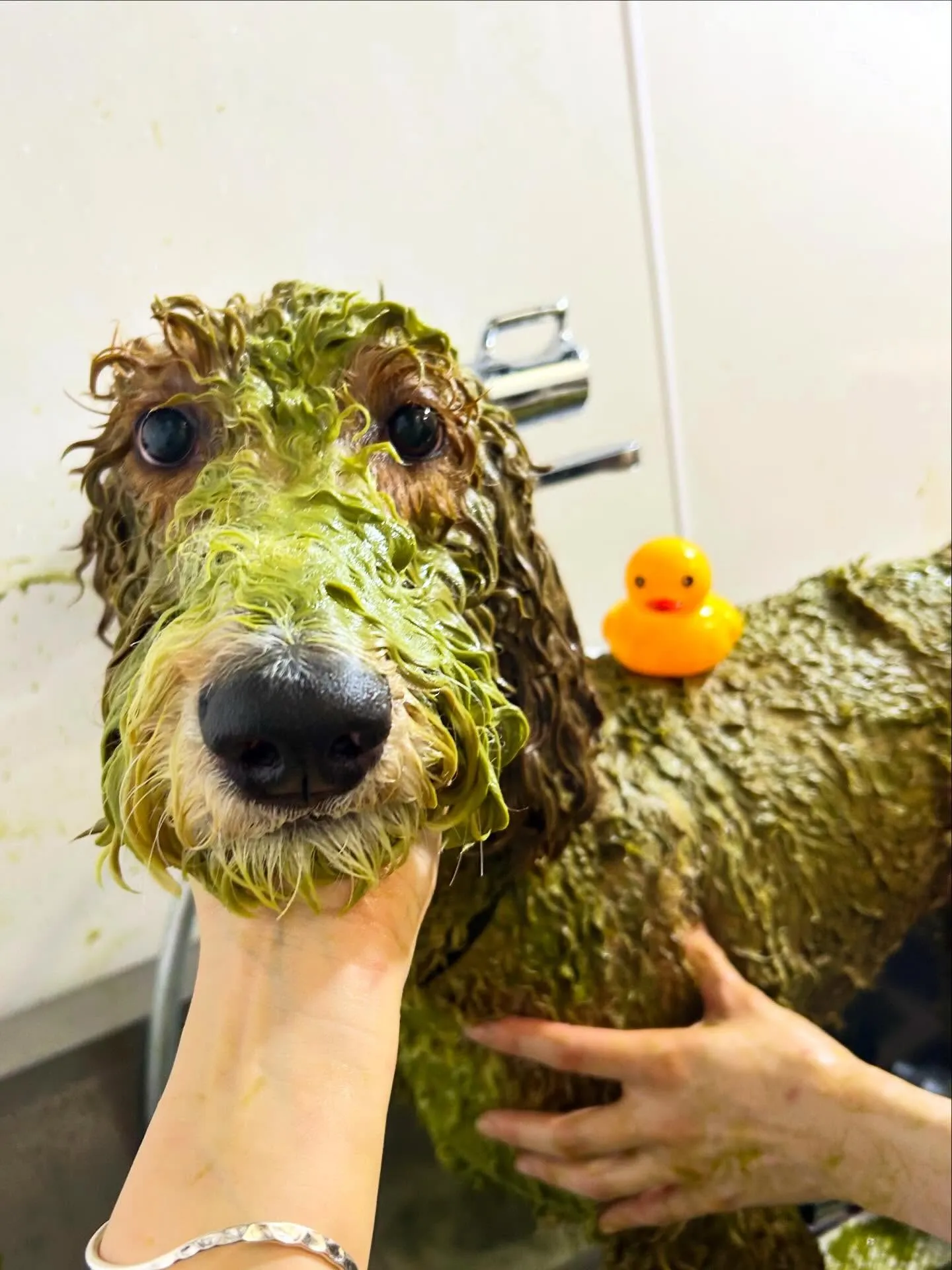 ハーブパック🌿