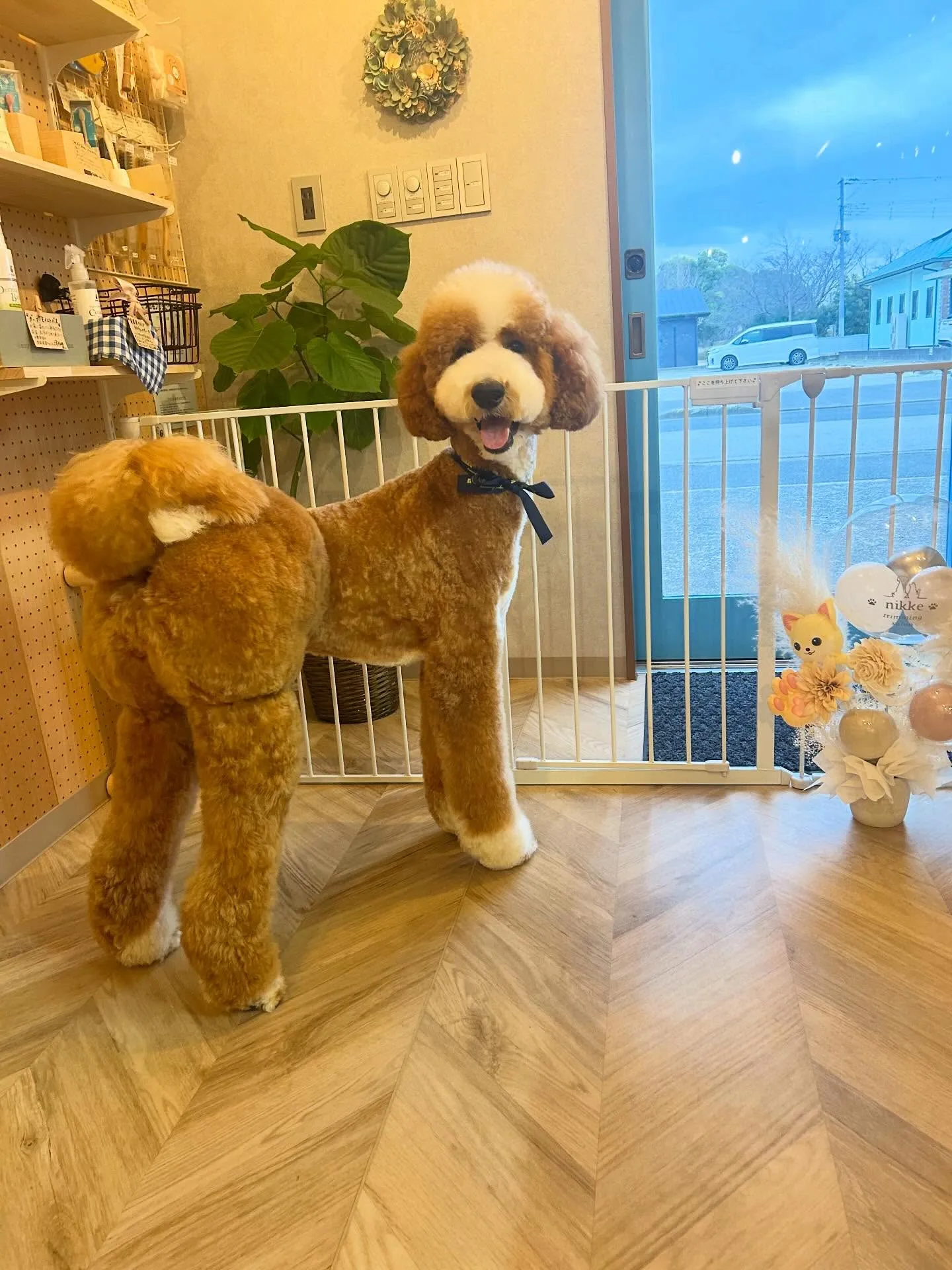 ハーブパック🌿