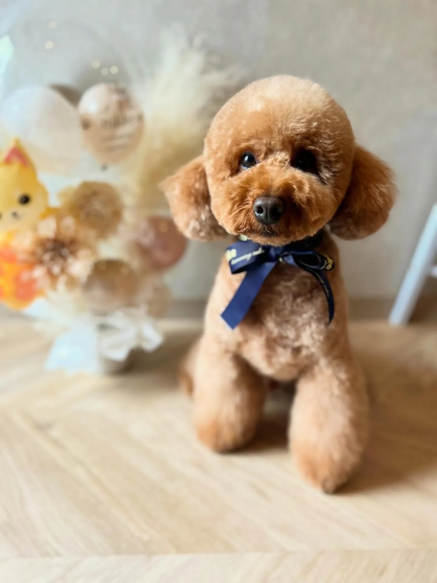 ハーブパック🌿