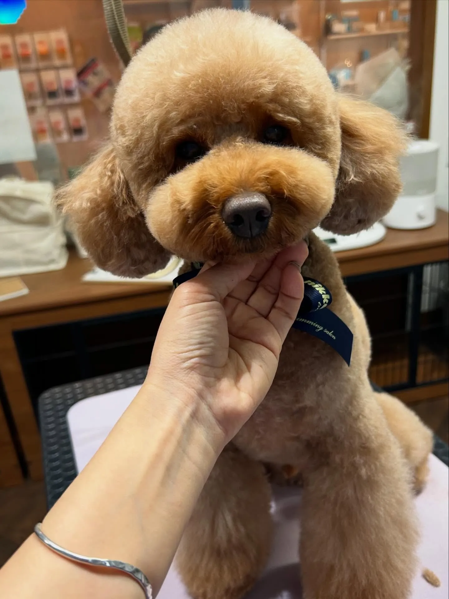 ハーブパック🌿