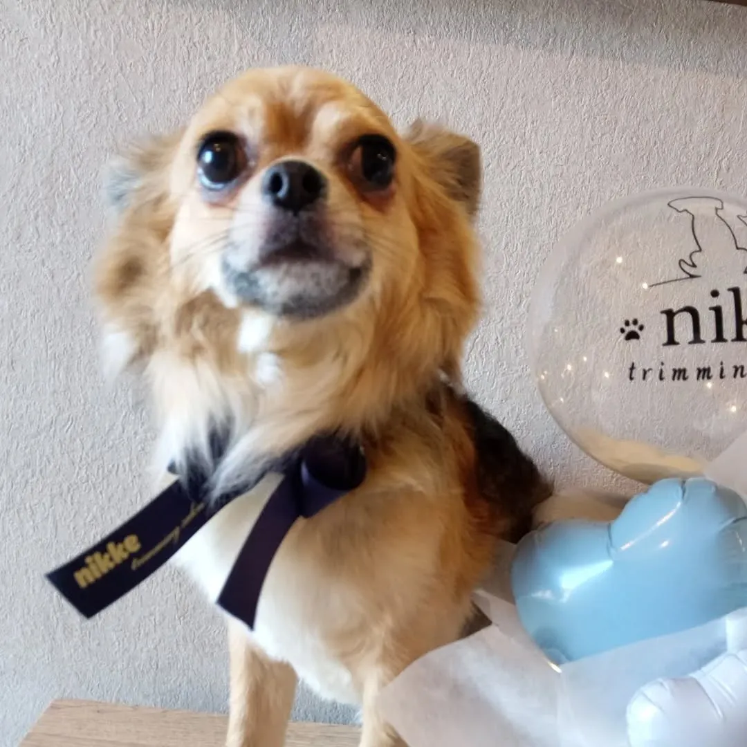 ハーブパック🌿