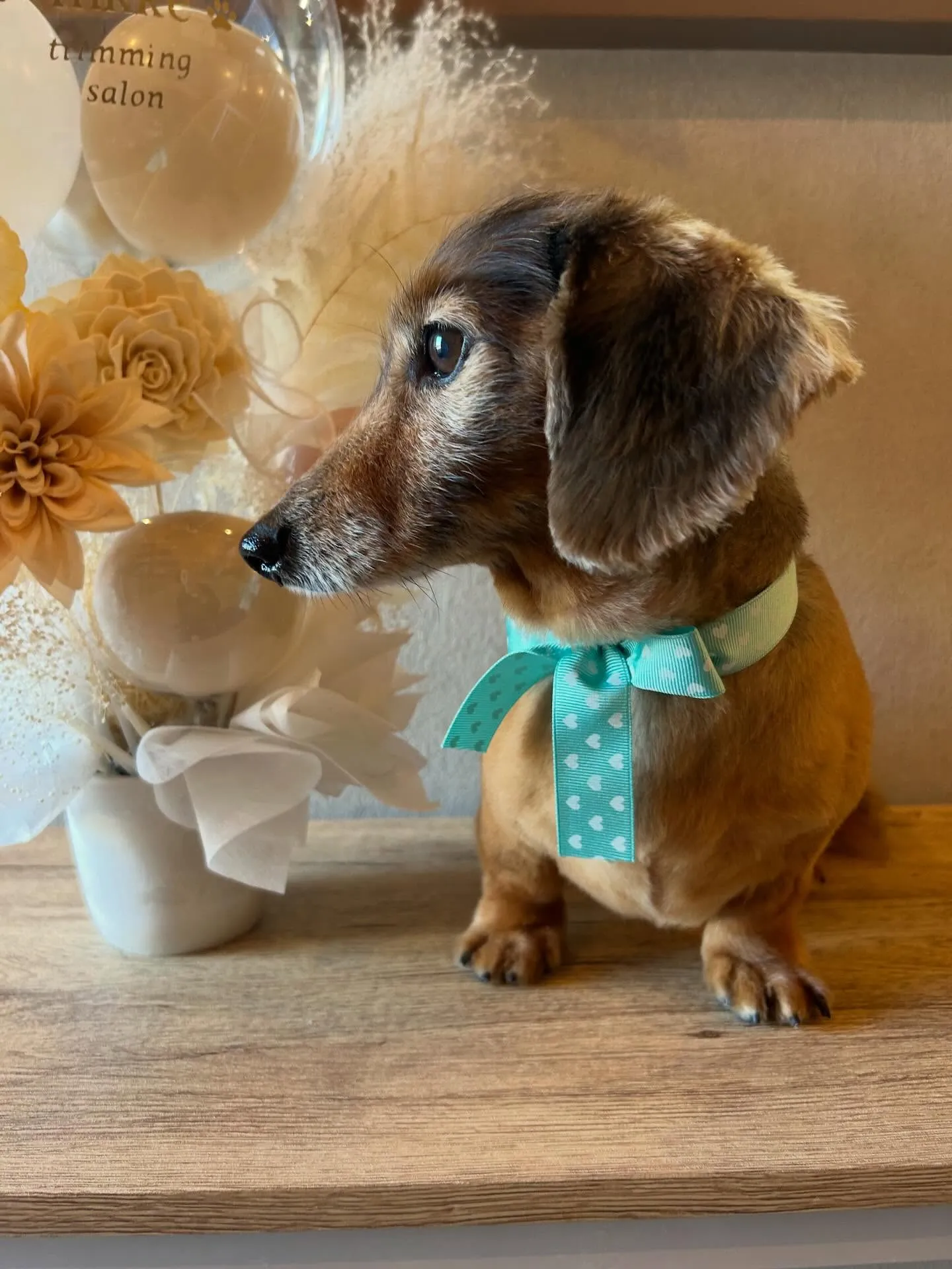 ハーブパック🌿