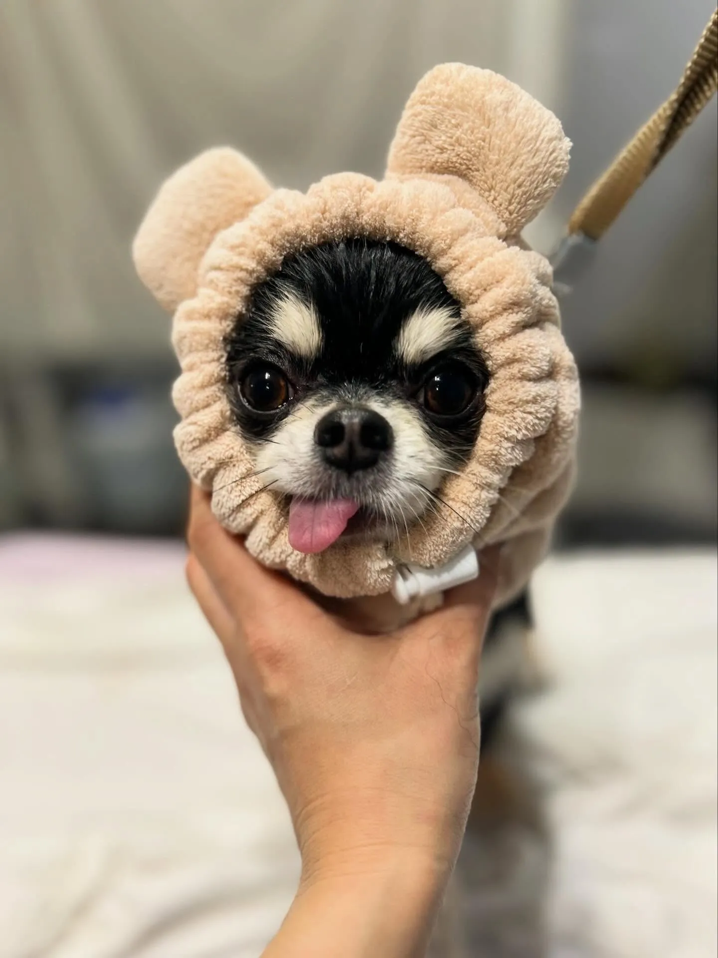 ハーブパック🌿