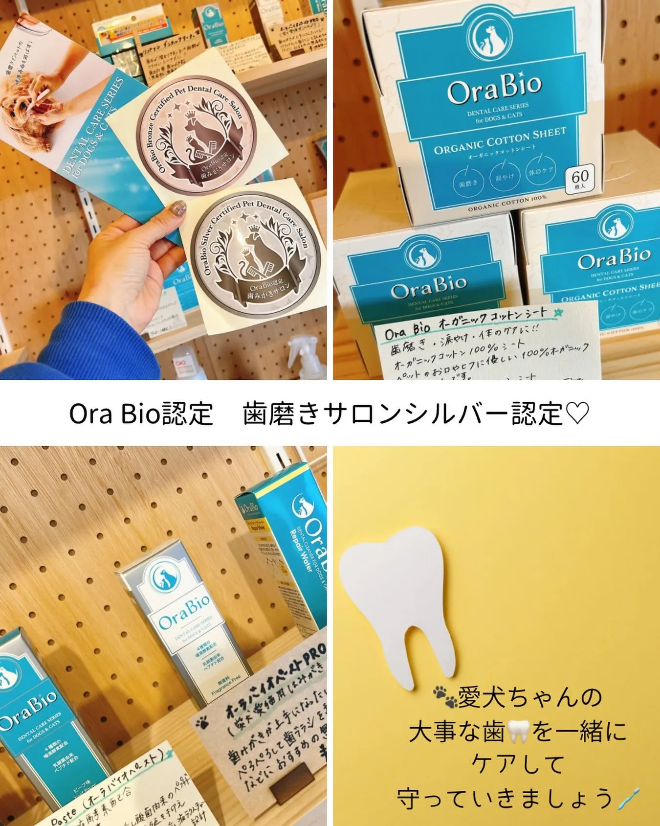 春田です𓂃٭ 𓈒𓏸