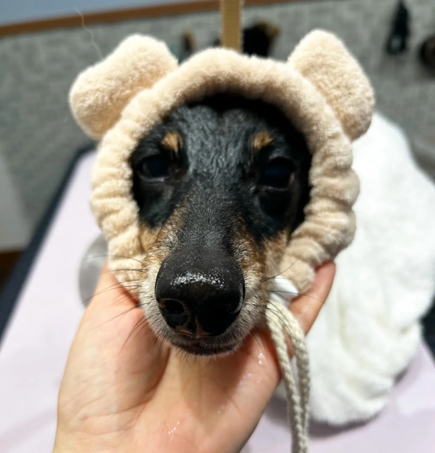 ハーブパック🌿