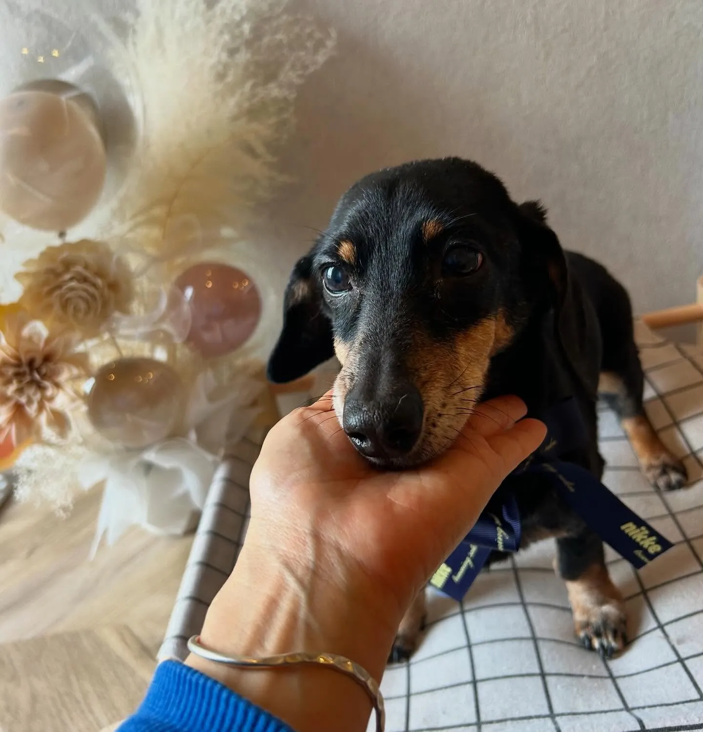 ハーブパック🌿