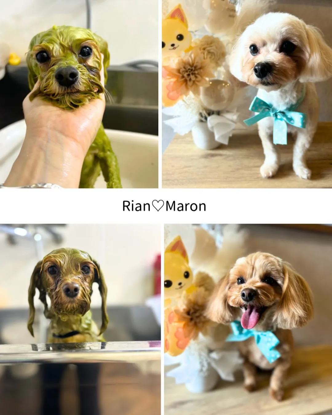 ハーブパック🌿