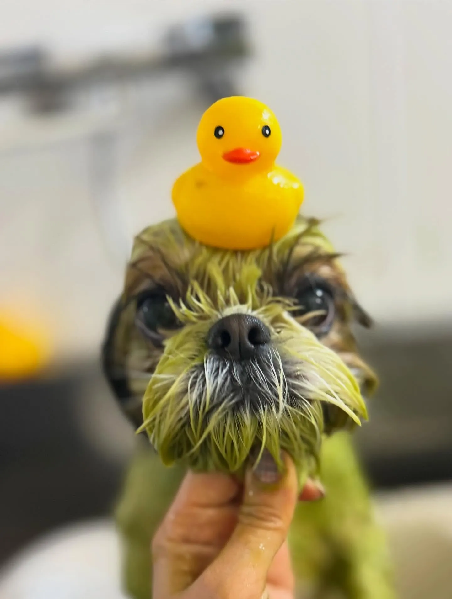 ハーブパック🌿