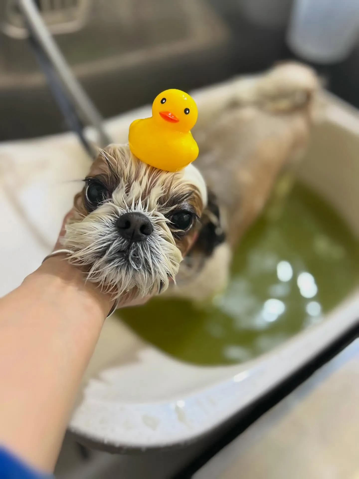 ハーブパック🌿