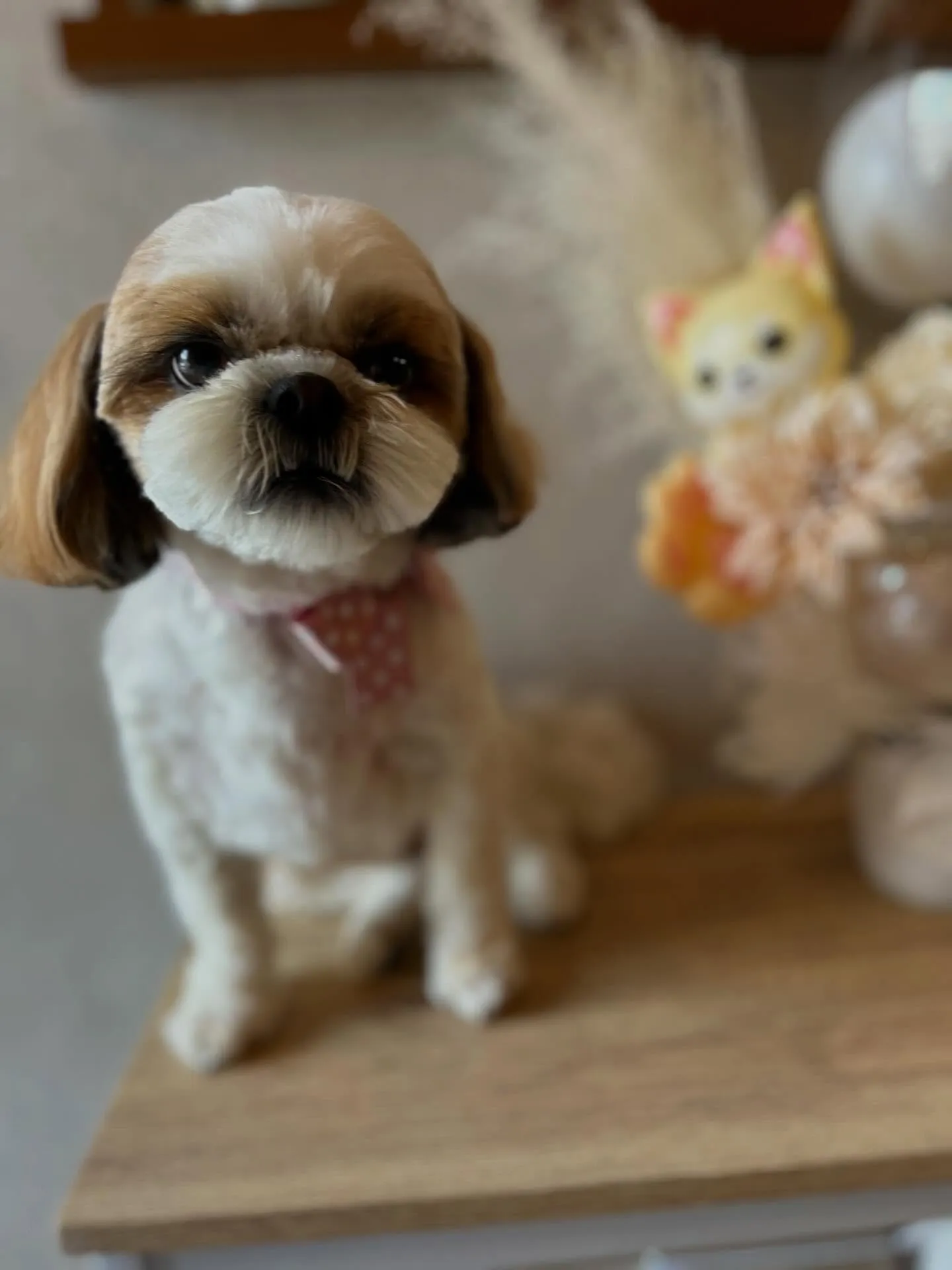 ハーブパック🌿