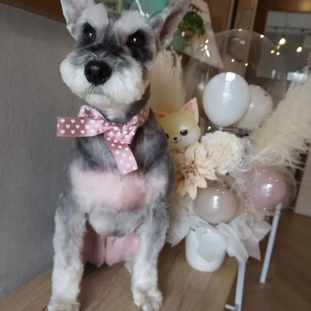 ハーブパック🌿