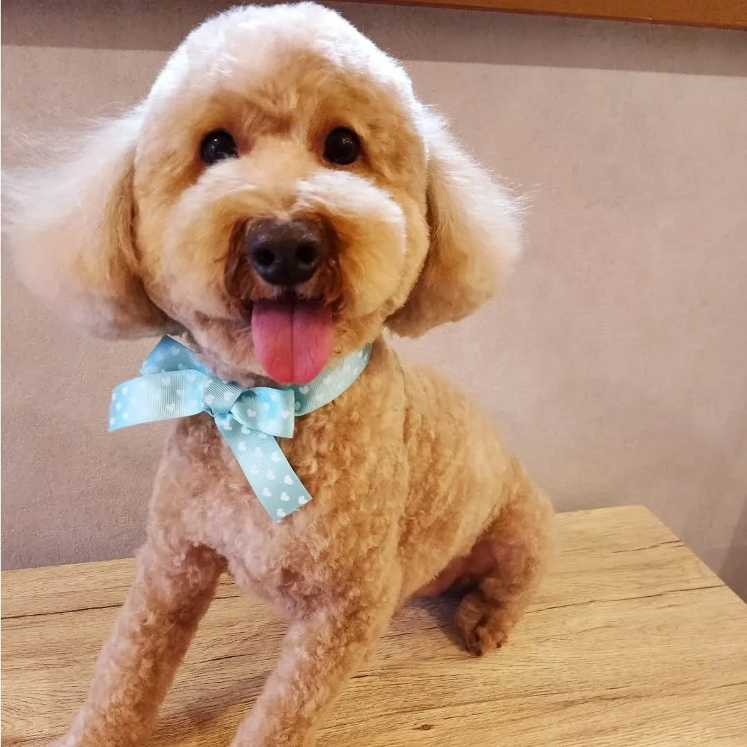 ハーブパック🌿