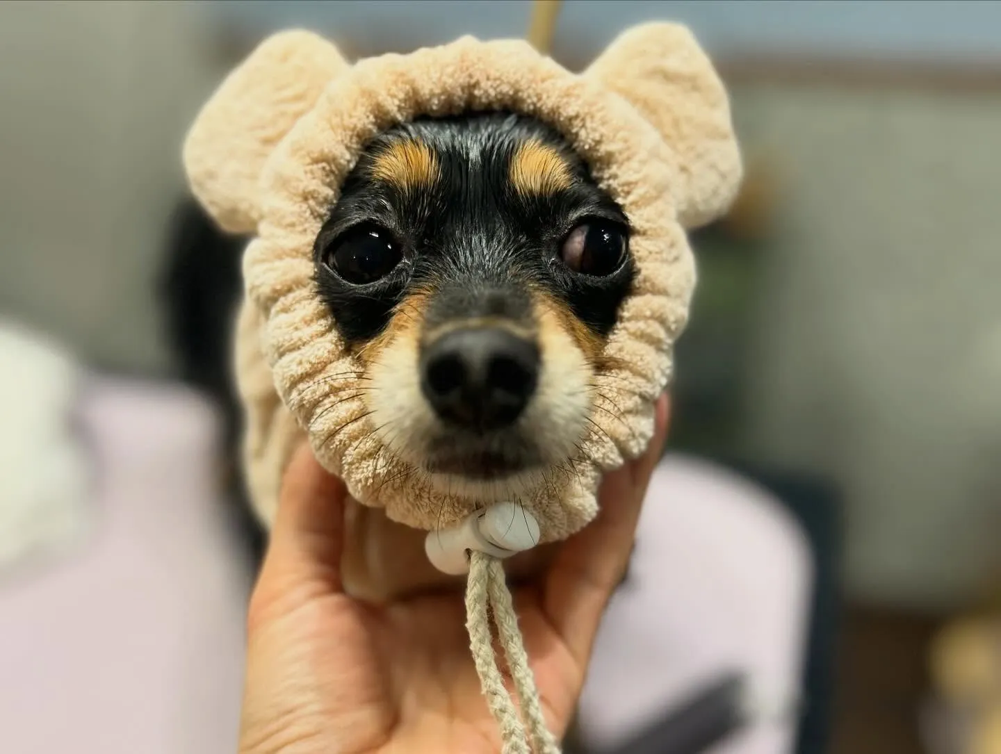 ハーブパック🌿