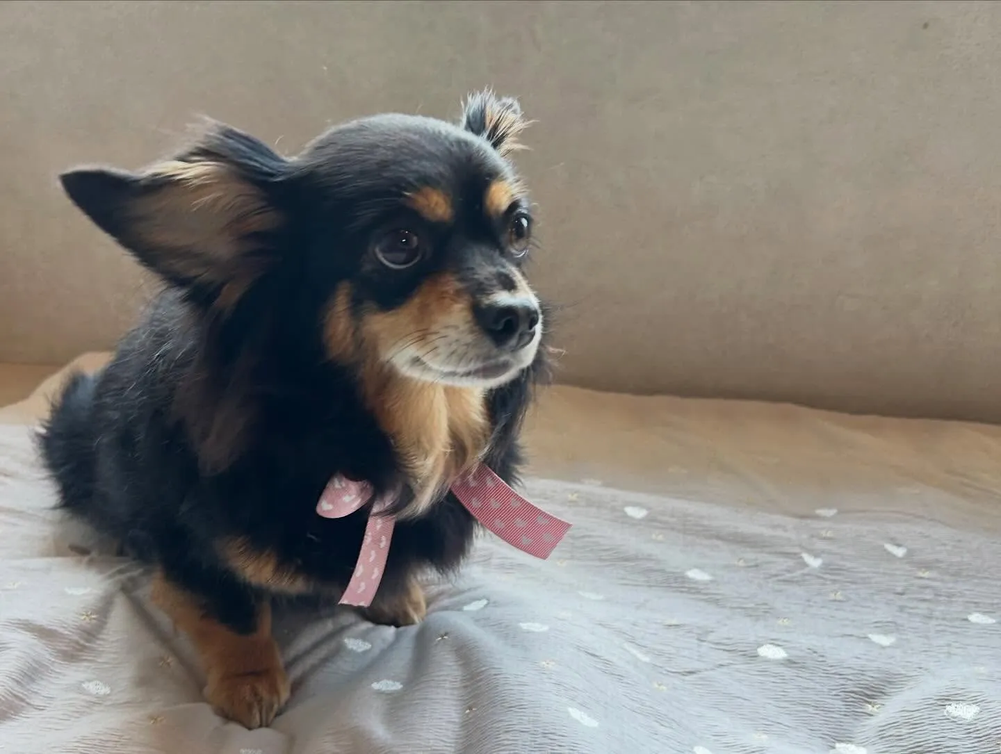 ハーブパック🌿