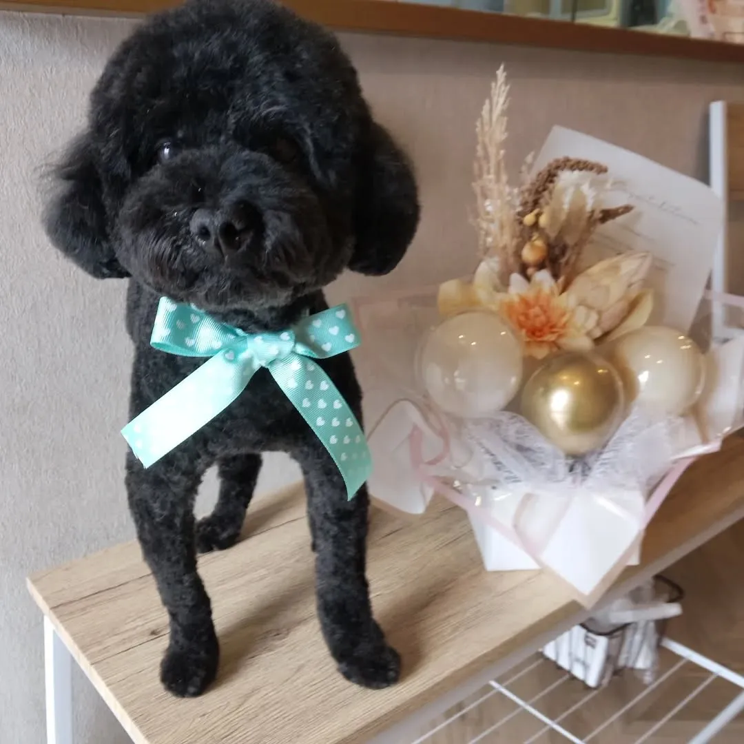 ハーブパック🌿