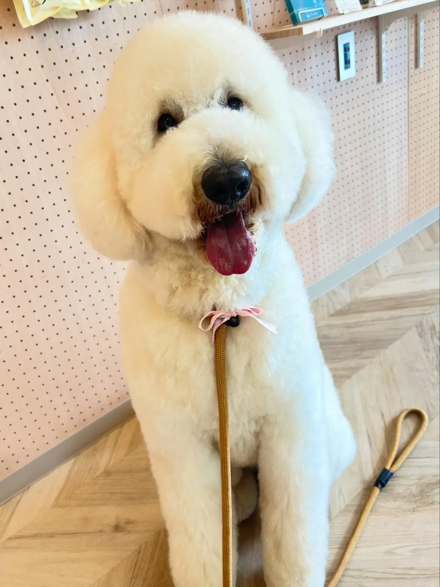 ハーブパック🌿