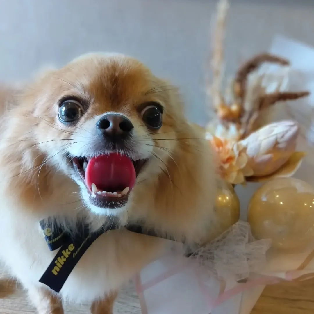 ハーブパック🌿