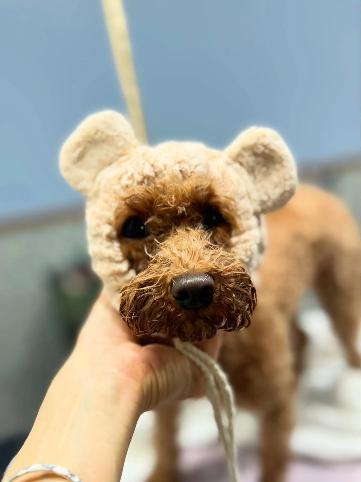 ハーブパック🌿