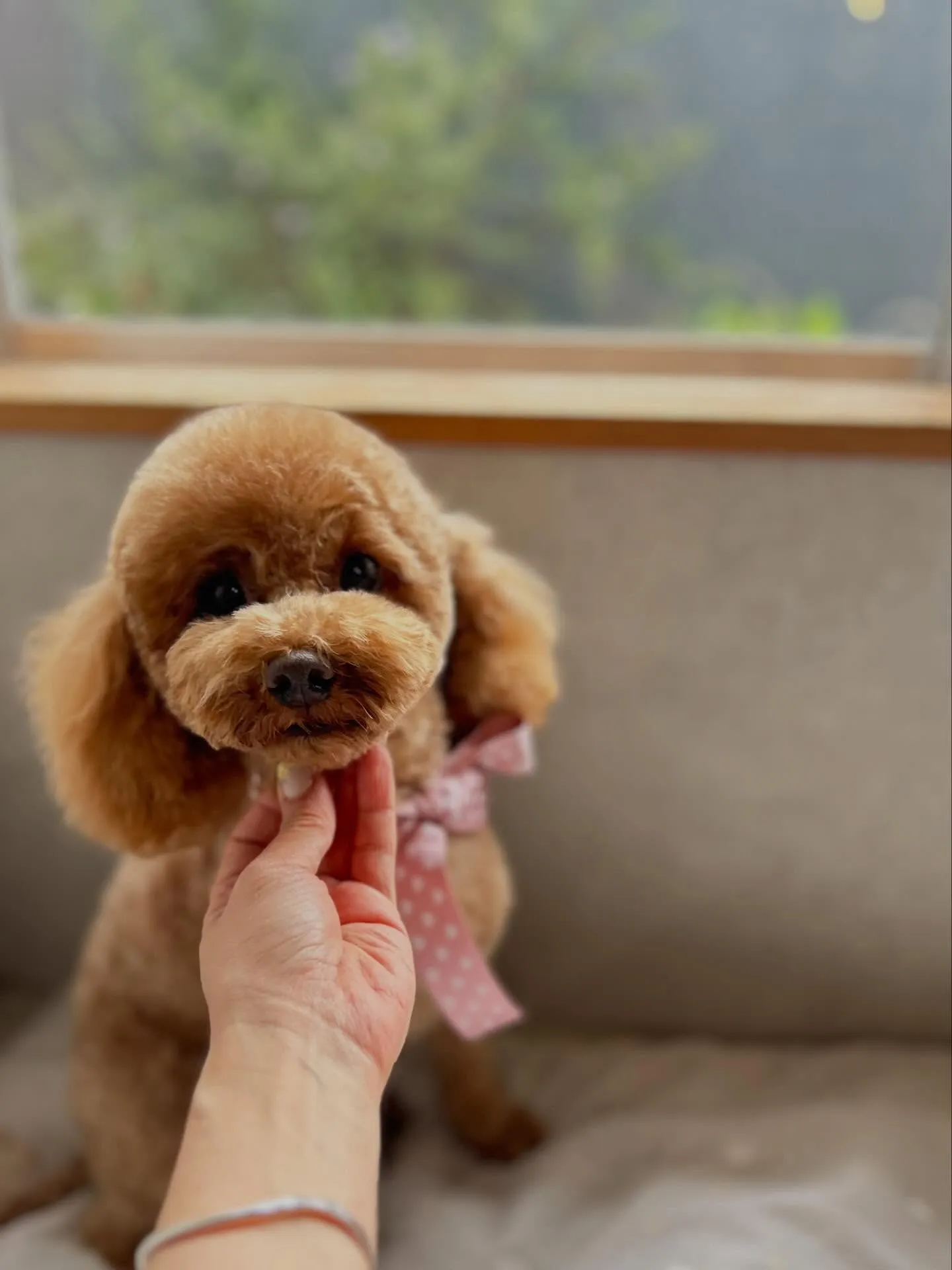 ハーブパック🌿