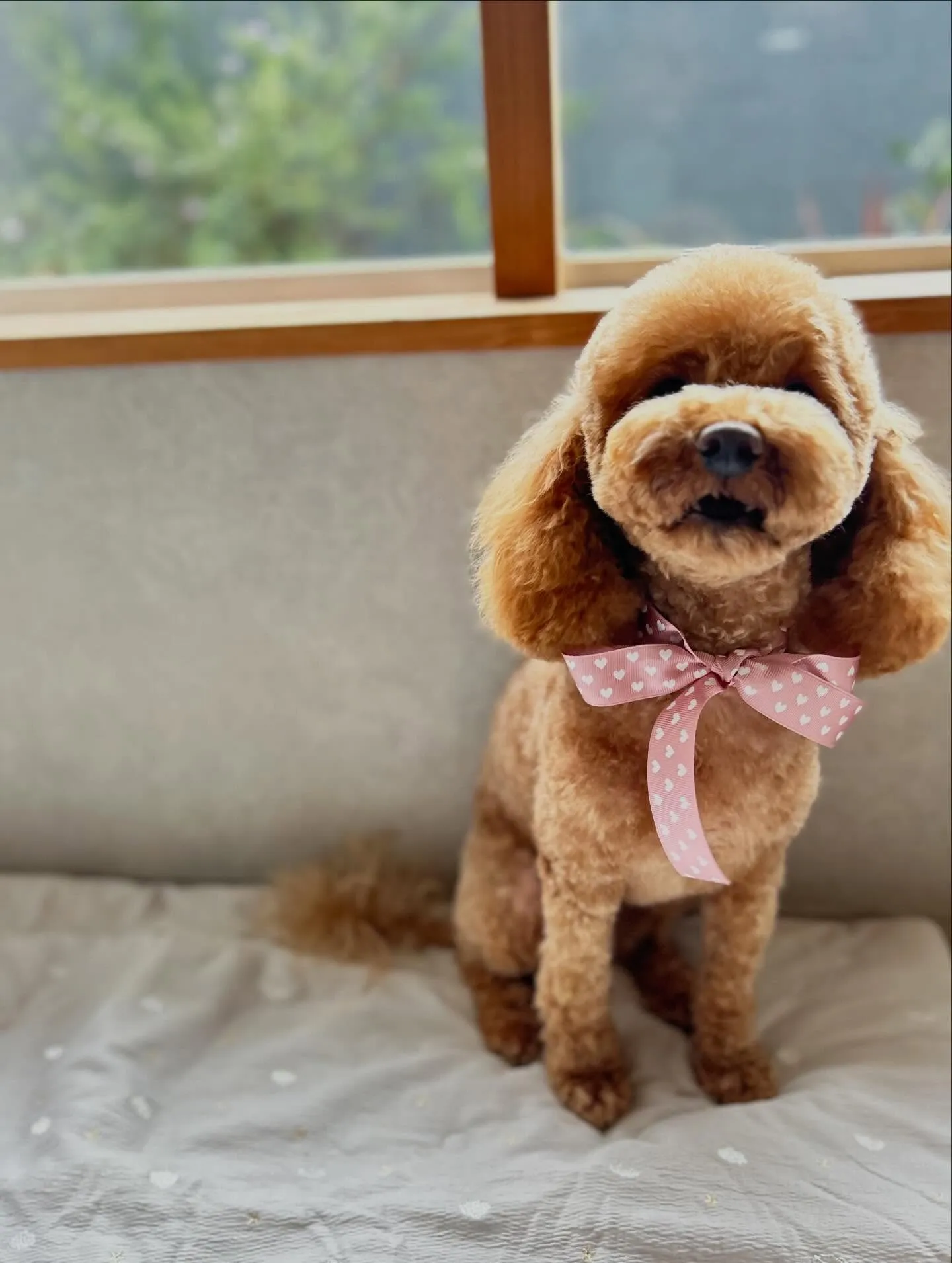 ハーブパック🌿