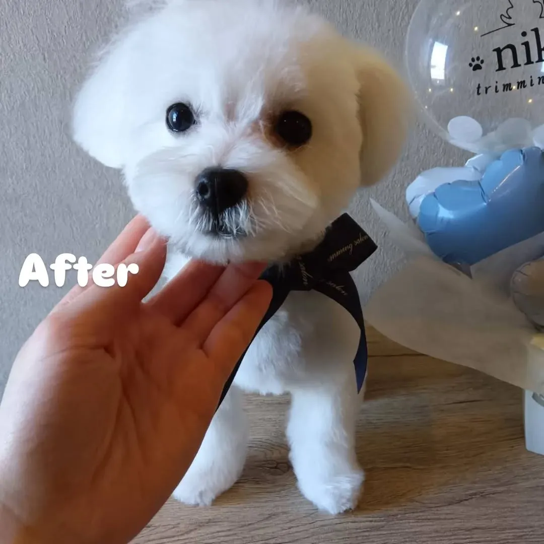 ファーストトリミング🐣