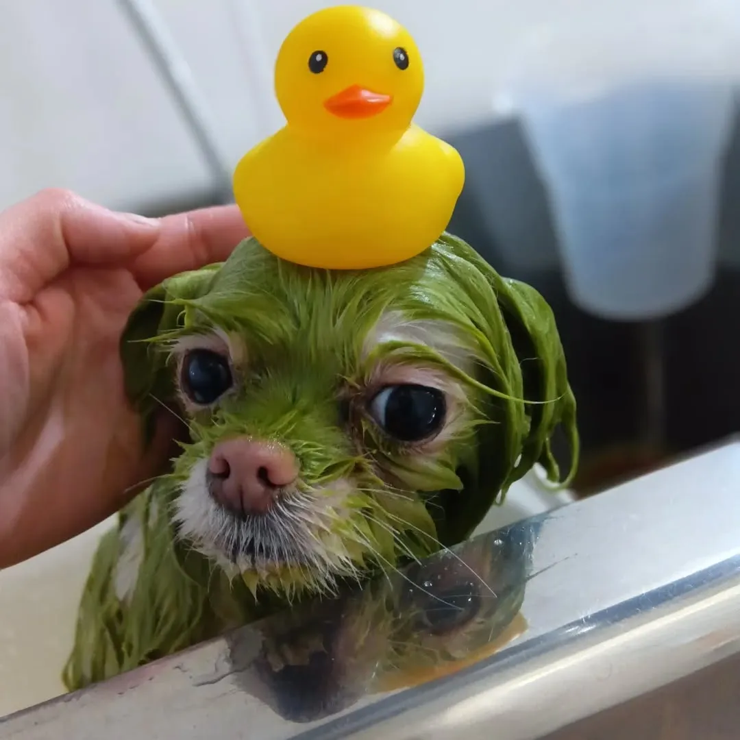 ハーブパック🌿