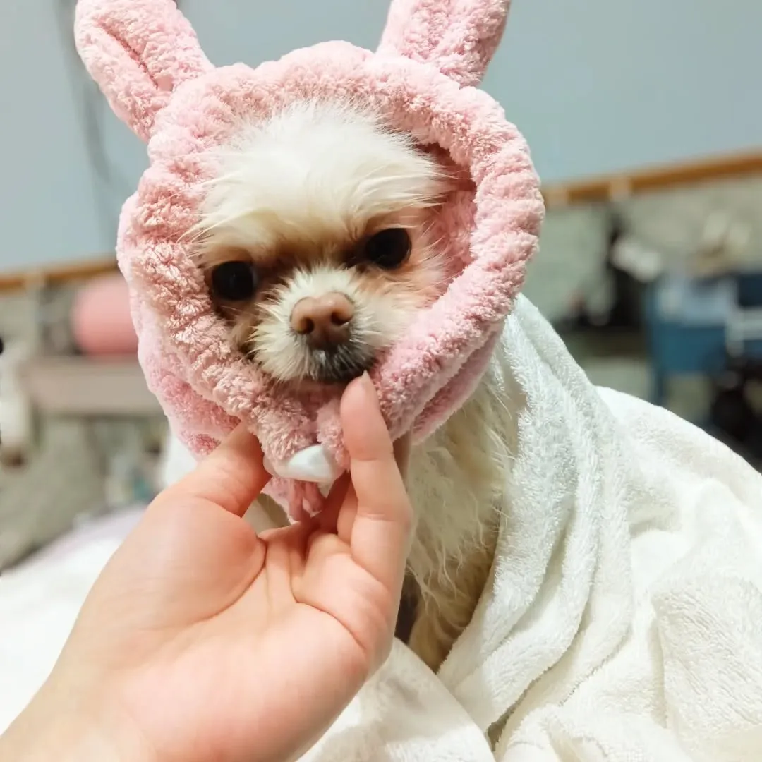 ハーブパック🌿