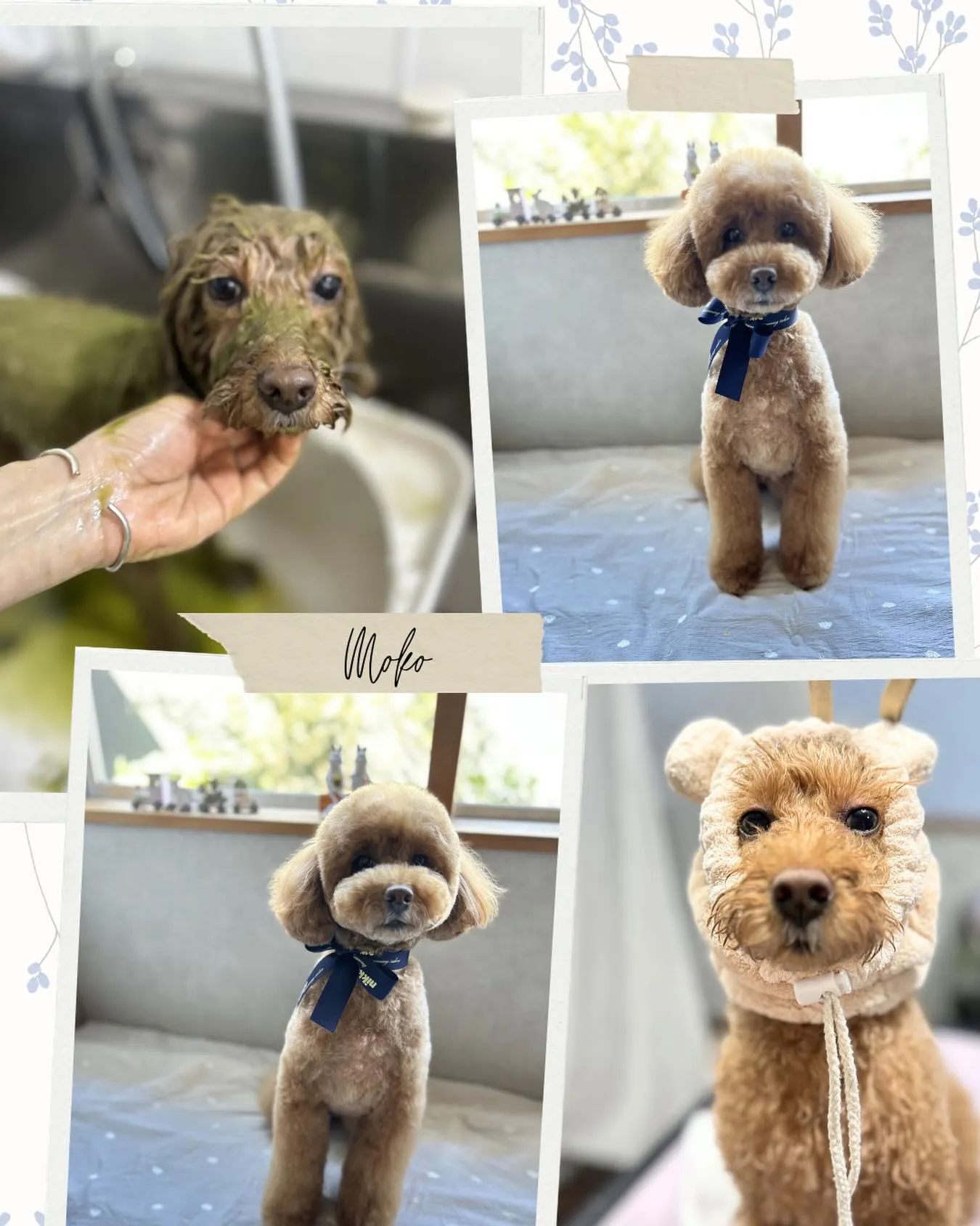 ハーブパック🌿