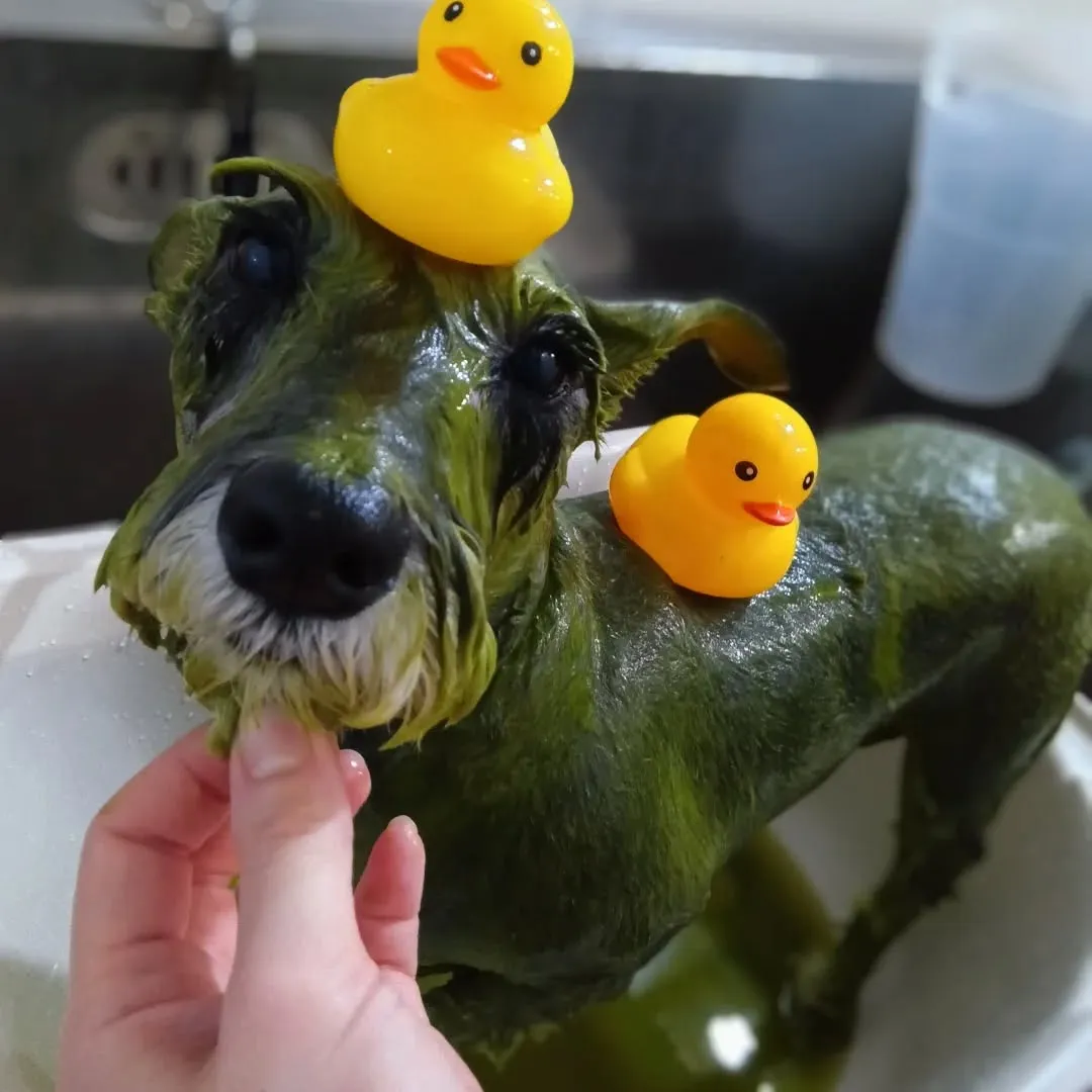 ハーブパック🌿