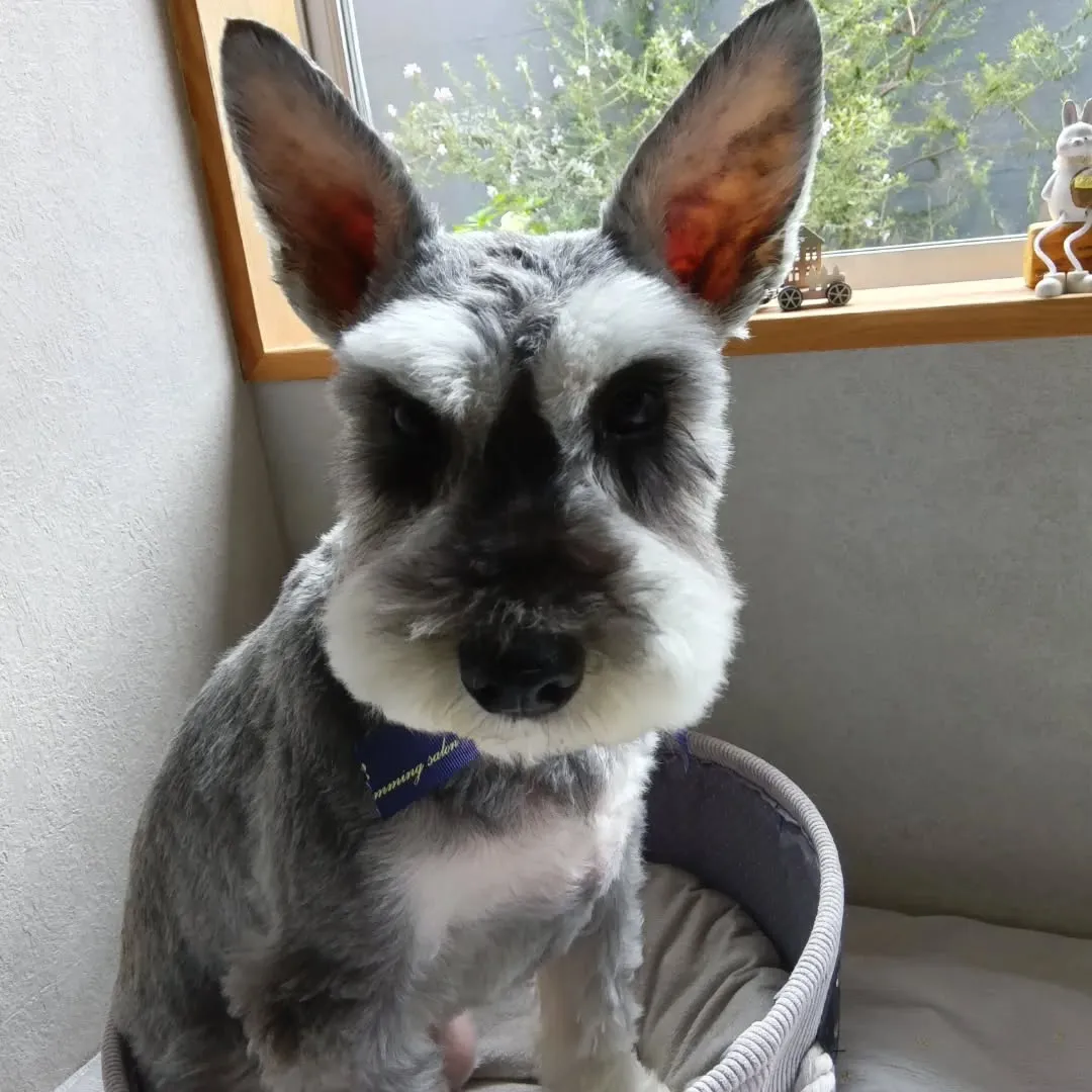 ハーブパック🌿