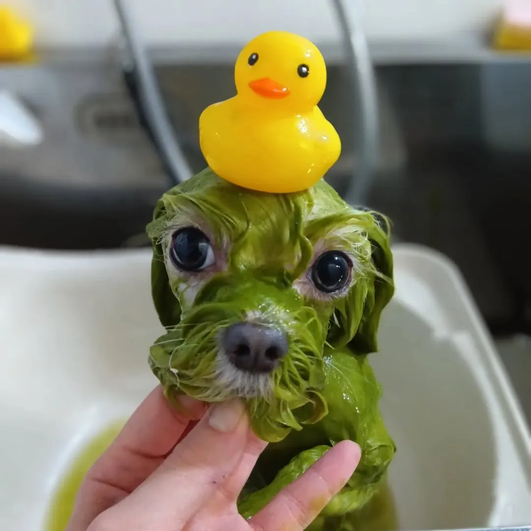 ハーブパック🌿