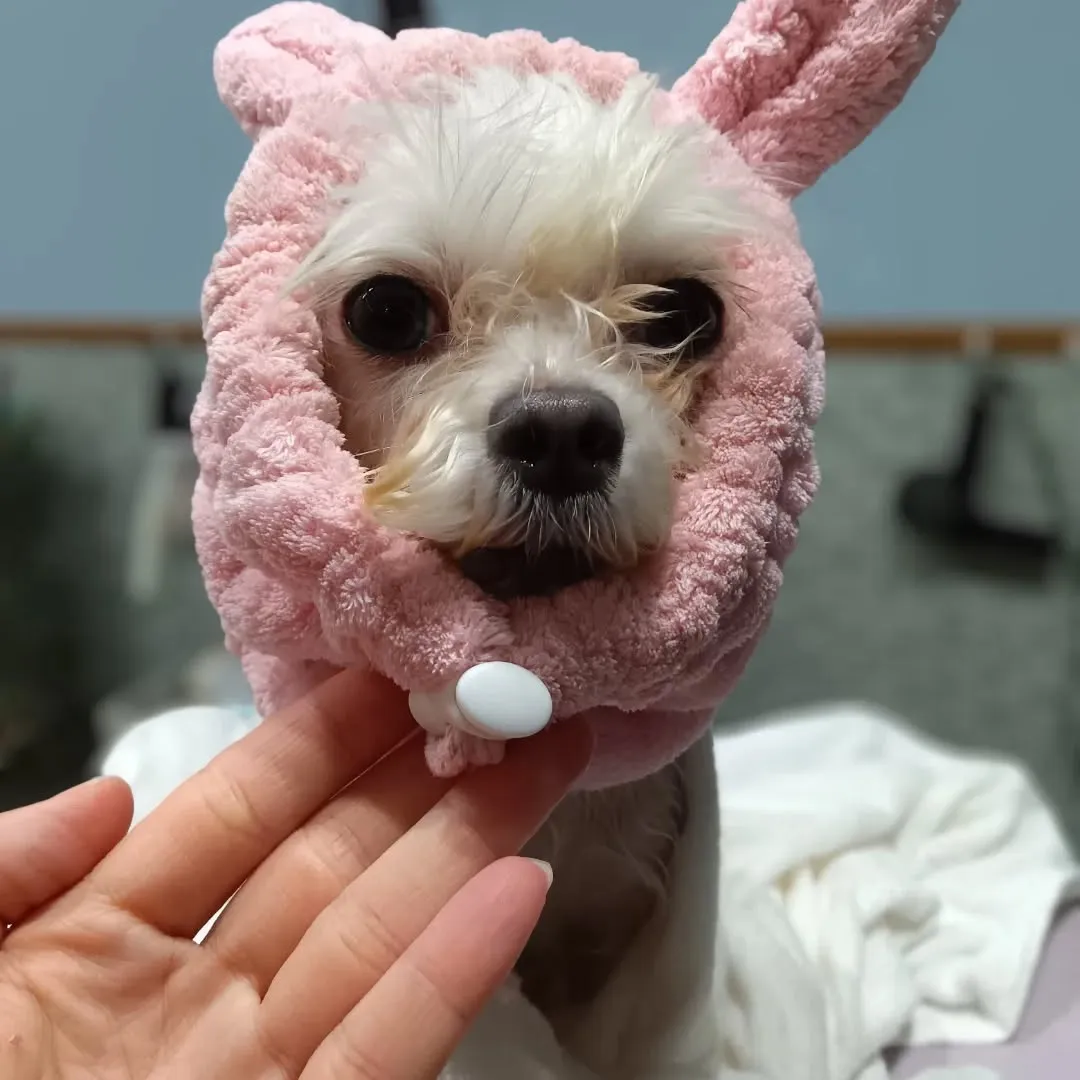 ハーブパック🌿