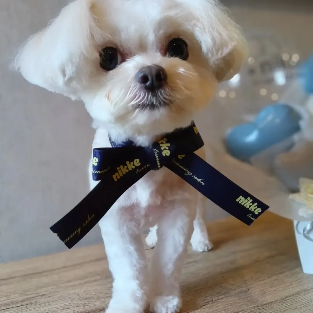 ハーブパック🌿