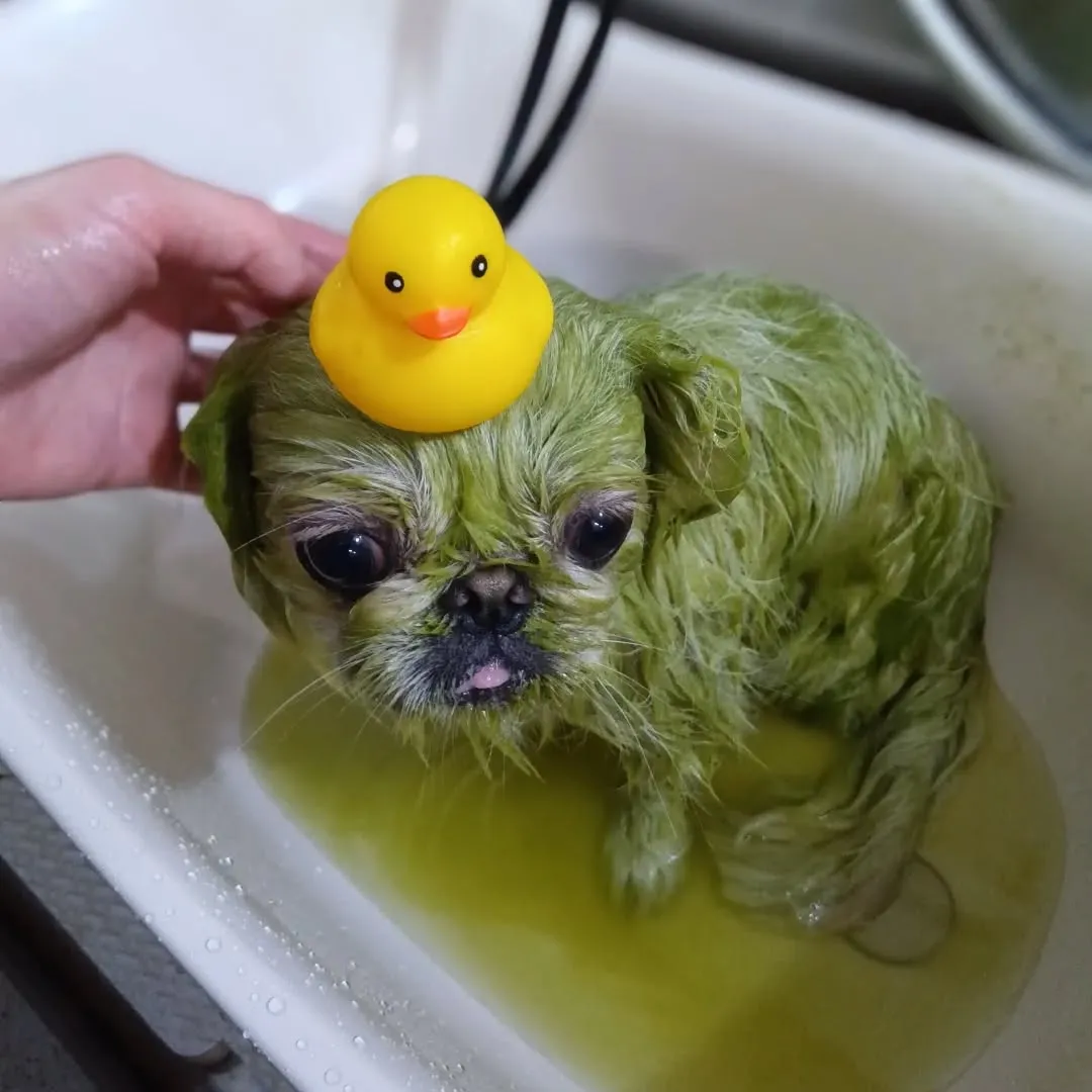 ハーブパック🌿