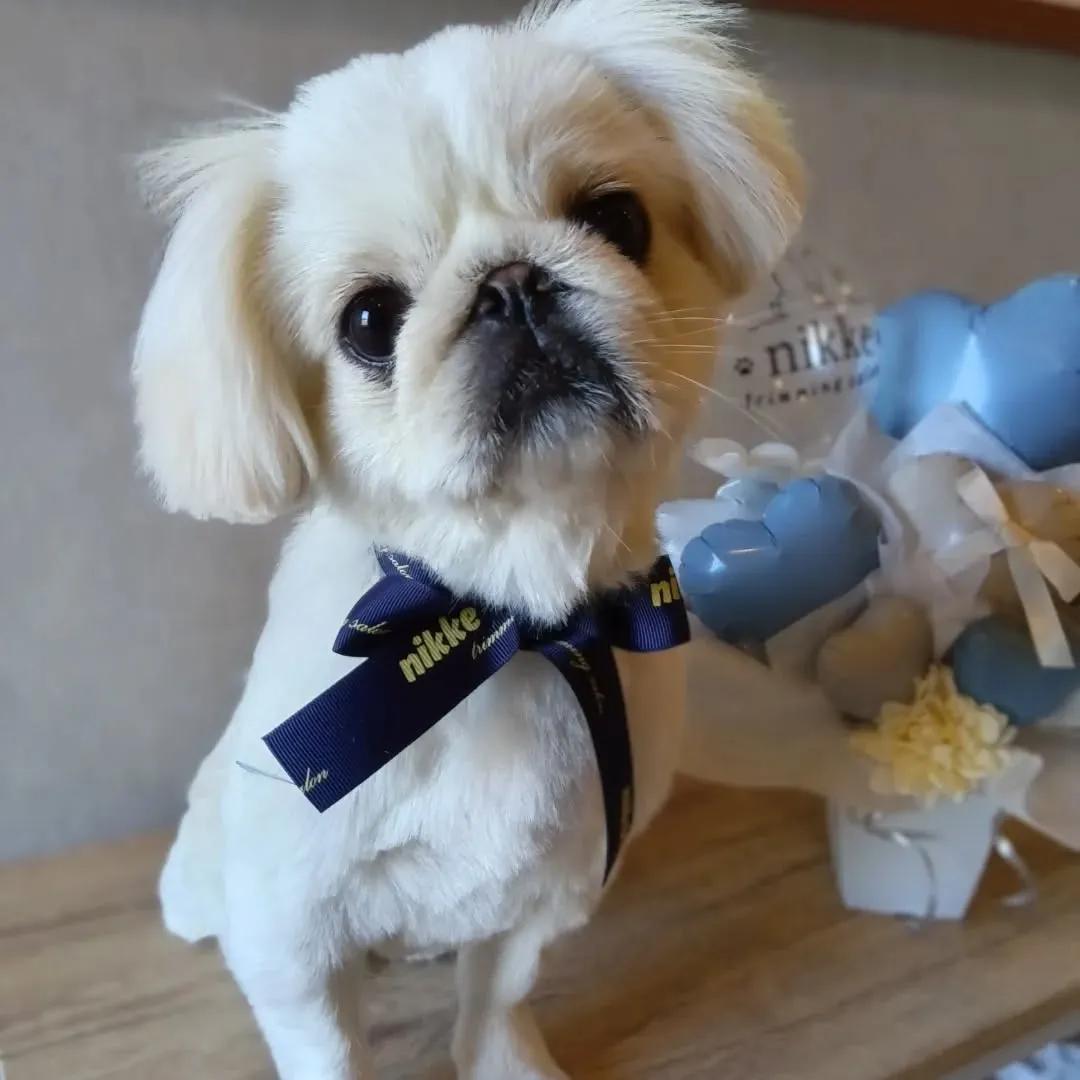 ハーブパック🌿