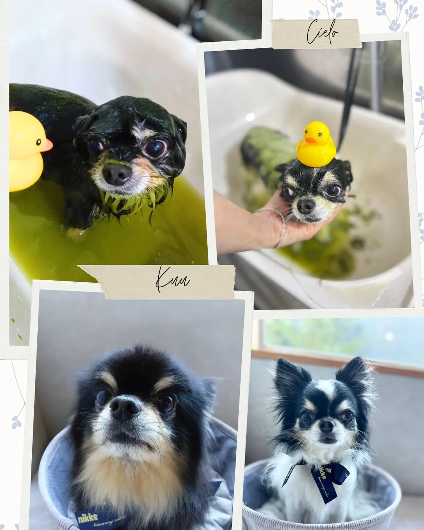 ハーブパック🌿