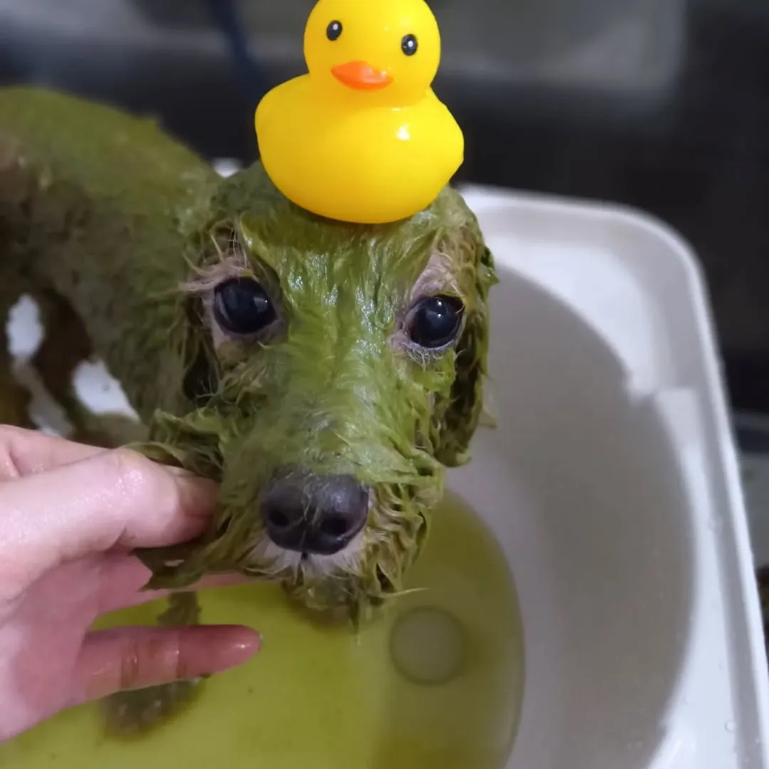 ハーブパック🌿