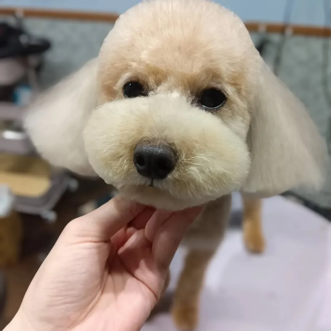 ハーブパック🌿