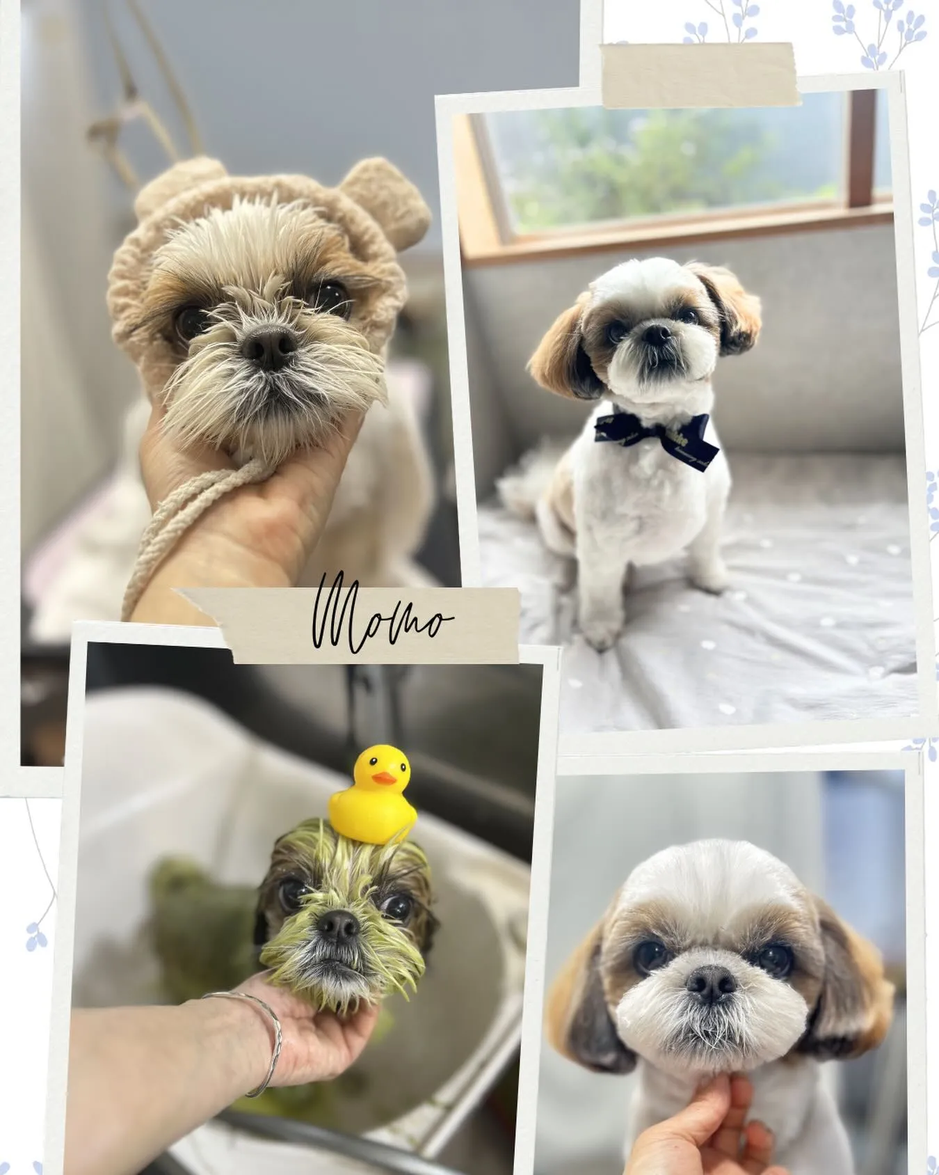 ハーブパック🌿