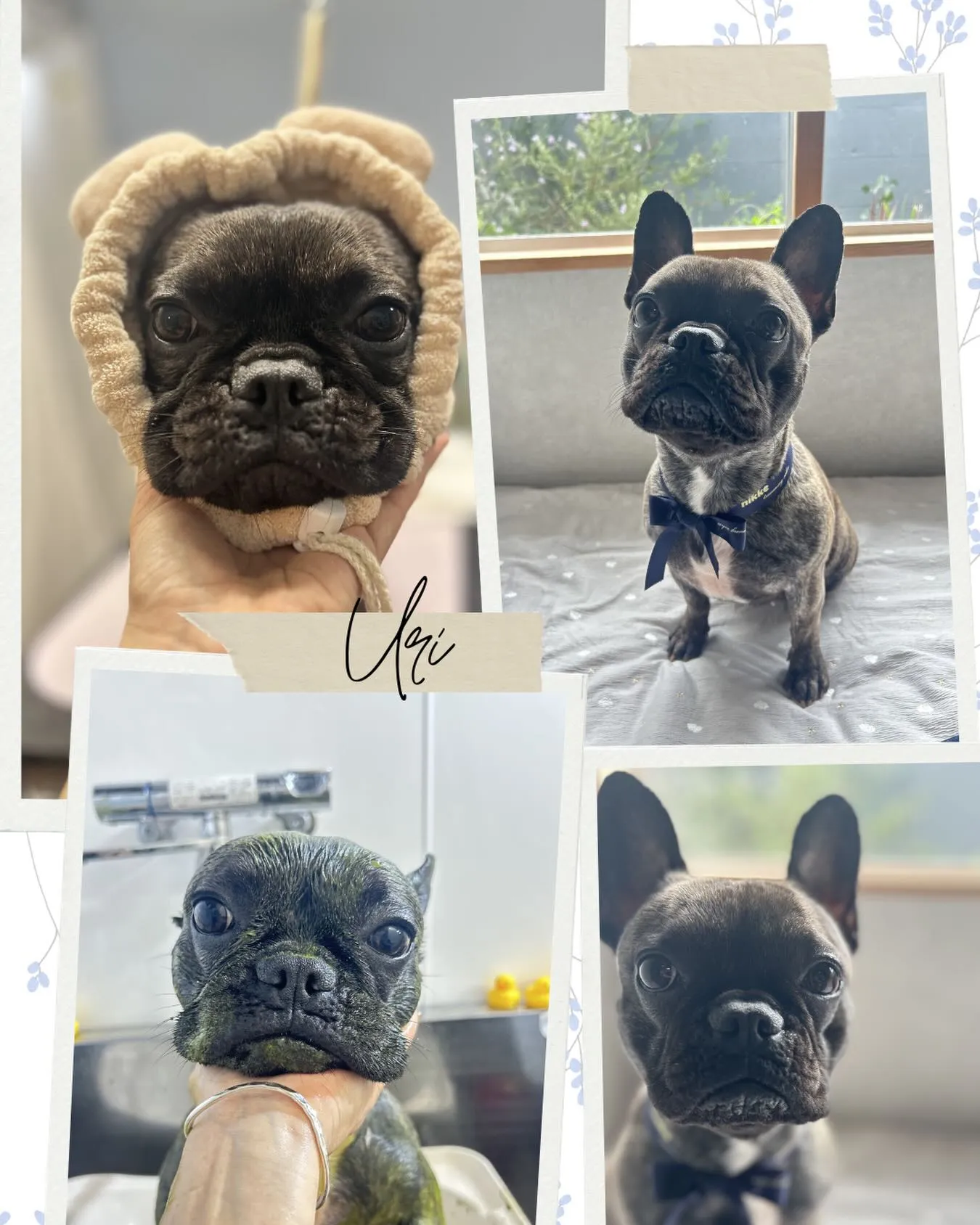 ハーブパック🌿