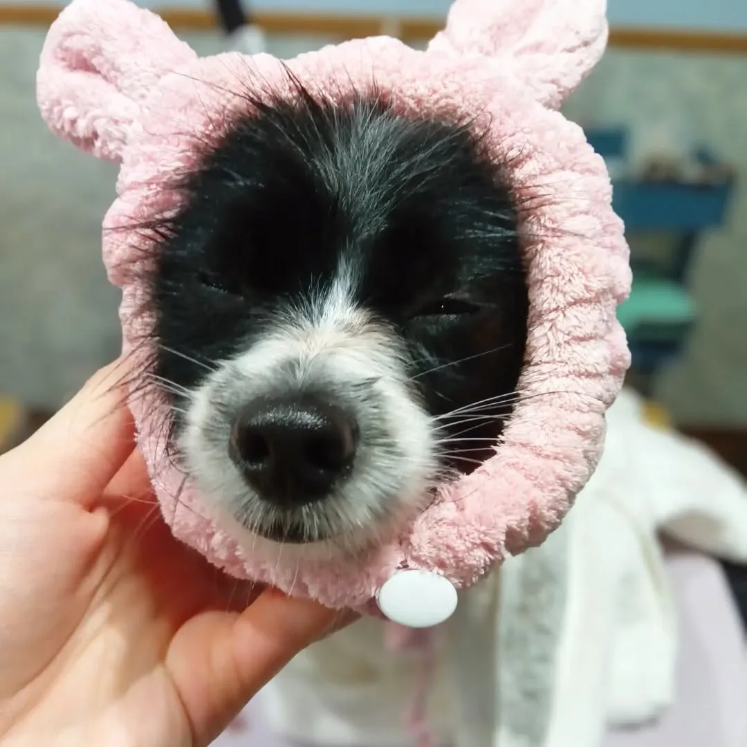 ハーブパック🌿