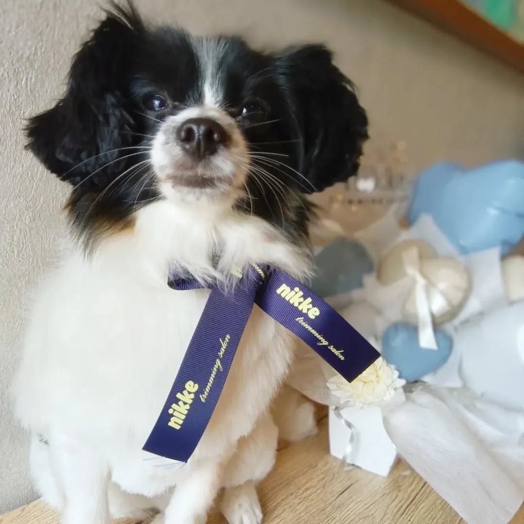 ハーブパック🌿